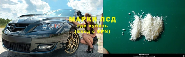 хмурый Аркадак