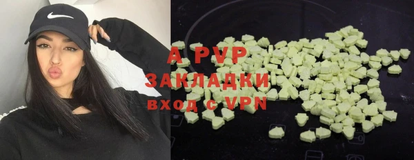 трава Арсеньев