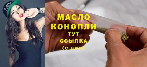 хмурый Аркадак
