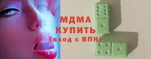 хмурый Аркадак