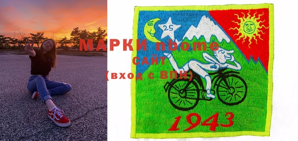 хмурый Аркадак