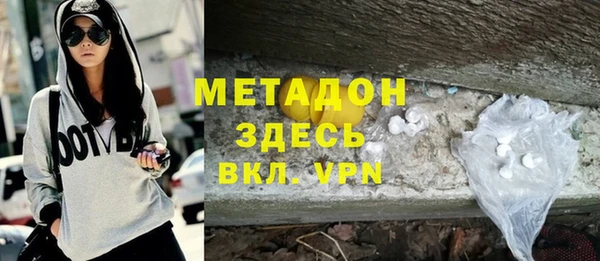 хмурый Аркадак