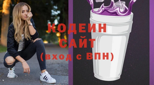 хмурый Аркадак