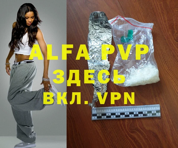 хмурый Аркадак