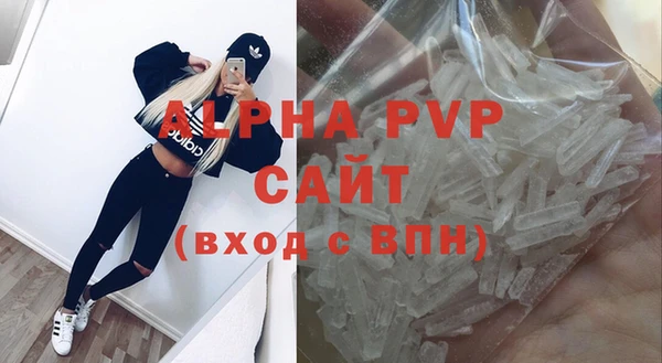 хмурый Аркадак
