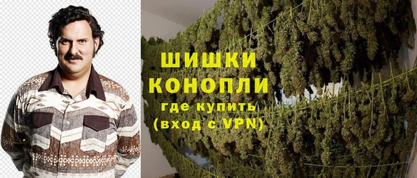 трава Арсеньев
