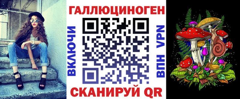 ссылка на мегу вход  магазин продажи наркотиков  Ясный  Псилоцибиновые грибы Psilocybine cubensis 